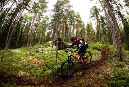 RASKE STIER: Stiene rundt Traktor Bikepark på Hadelan byr på både høy fart og tekniske partier.
