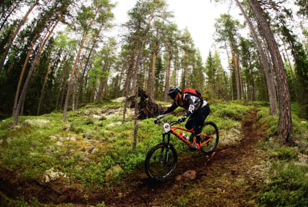 RASKE STIER: Stiene rundt Traktor Bikepark på Hadelan byr på både høy fart og tekniske partier.