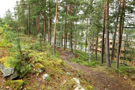 STISKOLE: Stibygging har blitt et populært tiltak på Ingieråsen ungdomsskole. Foto: Cato/Eli Symrebu.