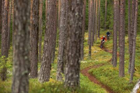 KLASSIKER: Nesbyen har med sitt rike stinettverk gode muligheter for å terpe på endurorelevant trening.