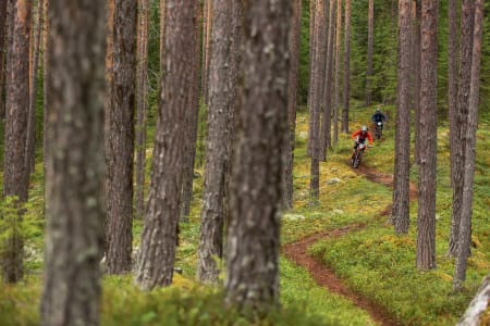 KLASSIKER: Nesbyen har med sitt rike stinettverk gode muligheter for å terpe på endurorelevant trening.