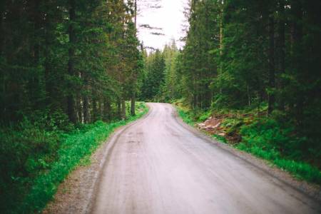 NYE VEIER: Nei, vi snakker ikke om offentlig forvaltning, vi snakker om de uendelige mulighetene til å sykle i fred og ro unna trafikk og sinte bilister. Bukkestyresykler til grus har for lengst kommet for å bli. Foto: Kristoffer H. Kippernes