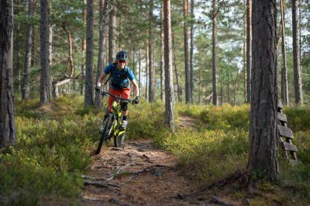 SER MULIGHETER: Inger Helene Hamborg i selskapet SilverTrails vil vise frem Kongsberg til stisyklister. Foto: Joar Sørvik Solem