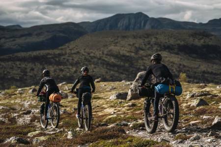 FELLESTUR: Av og til er det bedre å dele opplevelsene med andre. Foto: Mikkel Soya Bølstad.