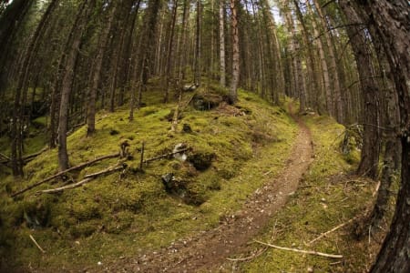 FLYTSTI: Stiene i Nesbyen er beryktede, ikke uten grunn. Foto: Kristoffer H. Kippernes