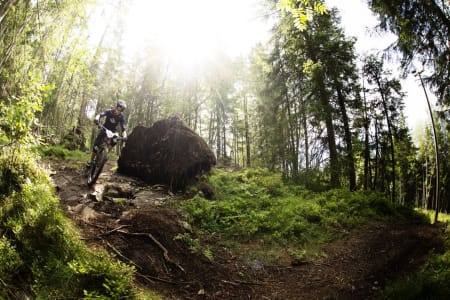 Terrenget i området rundt Tårnbakken og klatreparken i Tryvann er teknisk samt at underlaget gjør Oslo Enduro beryktet for punkteringer. Foto: Kristoffer Kippernes