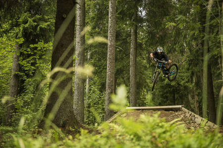 LOKAL: Tidligere sykkelproff Trond Hansen kan fortsatt, og med Oslo som hjemby er Frognerseteren hans bakgård. Bilde. Vegard Breie