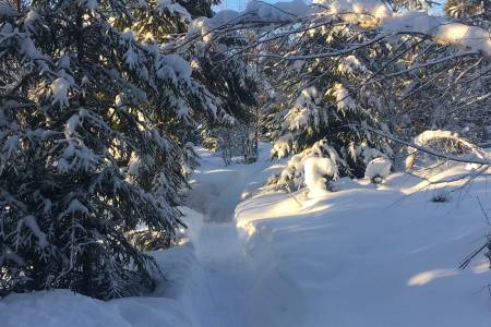 Orange Priest Challenge byr til kamp om cash, heder og ære på smale, kronglete stier langt til skogs kommende søndag. Foto: Henning Lotterud