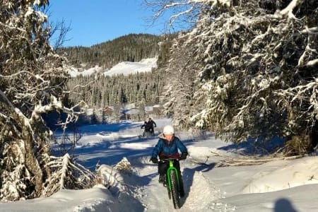 Vinterstiene i Øyfjell har blitt populære både blant innbyggerne i bygda og tilreisende. Foto: Øyfjell Fatbikeløype