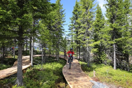 Fra barneløypa på Mosetertoppen. Dette er ett av sykkeltilbudene som skal videreutvikles når Hafjell setter i gang med sin storstilte satsing på å utvikle Hafjell som helårsdestinasjon neste år. Foto: Alpinco AS