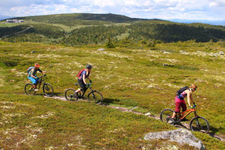 Turalternativene i Øyerfjellet og Birkenland er mange. Øyvind Wold presenterer 35 av dem i sin nye bok «35 sykkelturer i verdens beste skiterreng - Hafjell – Øyerfjellet – Nordseter – Sjusjøen». Foto: Øyvind Wold