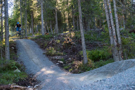 FOLKETS ARENA: På mesterlig vis har stibyggerne på Trysil fått tilbudet til å passe alt fra nybegynnere tl eksperter - gjerne i samme løype. Bilde: Vegard Breie