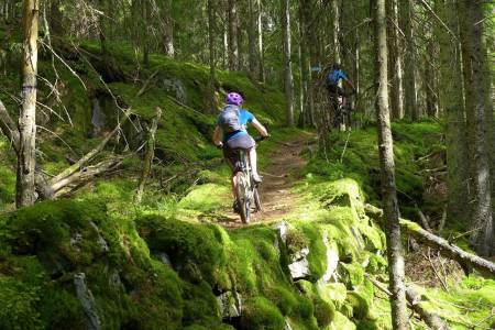 NOTS GodTurGuiding i Østmarka