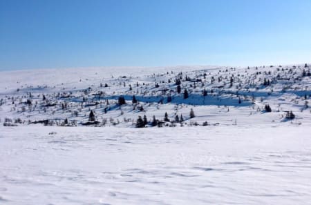 På skareføre gikk fatbiketuren fra Røros til Trysil fortere enn forventet. Foto: Marius Bryn