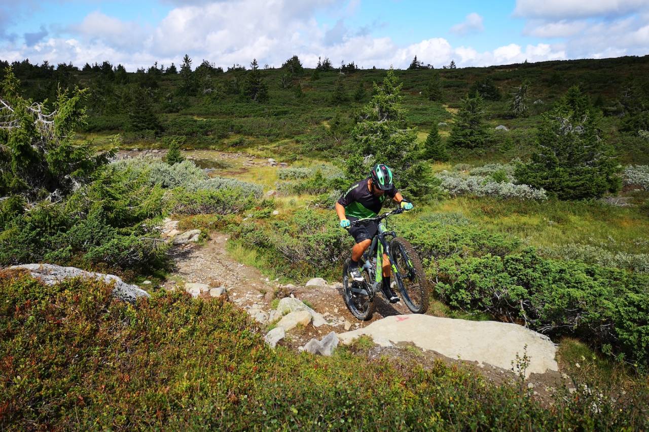 Foto: Bjørn Ballangrud
