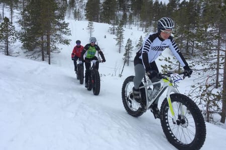 Daniel Boberg Leirbakken står med to seiere på rappen når tredje utgave av Skogen Fatbike arrangeres til helga. Foto: Nerskogen IL Sykkel