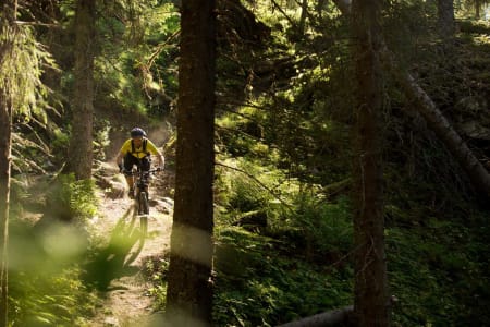 Estenstadmarka har mange korte og bratte utforkjøringer. Her slipper Odd Dahl seg ned «Litjrenna», et lite crux. / Stisykling i Norge.