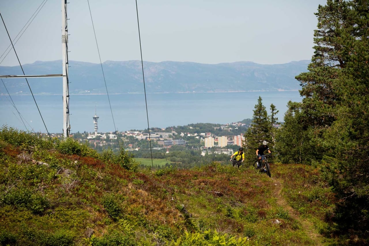 Arne Gran og Odd-Ivar Dahl klatrer opp en av de mange stiene i Estenstadmarka med utsikt mot byen. Tyholttårnet skimtes i bakgrunnen. 