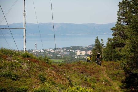 Arne Gran og Odd-Ivar Dahl klatrer opp en av de mange stiene i Estenstadmarka med utsikt mot byen. Tyholttårnet skimtes i bakgrunnen. 