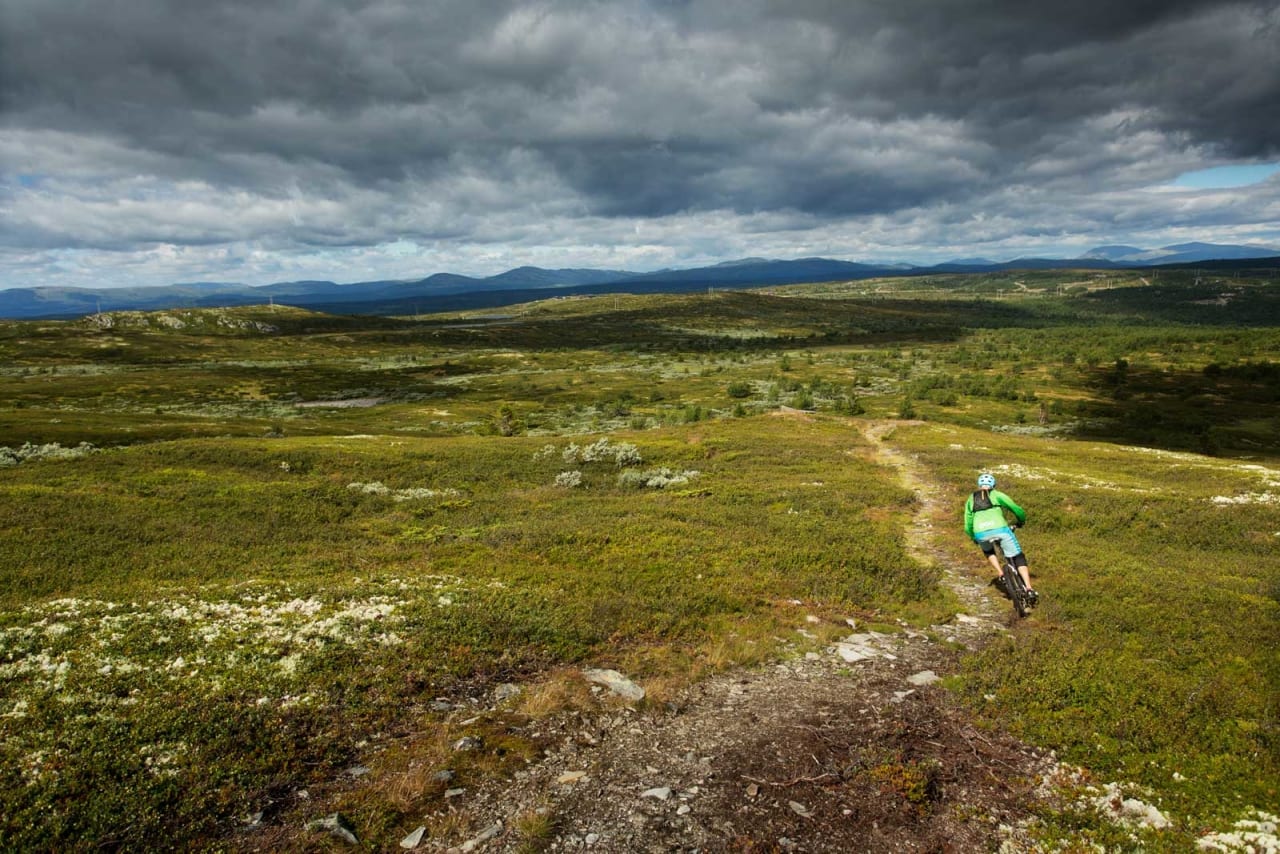 Torger Fenstad finner flyten på utforkjøringen ned mot Fagerhøy. / Stisykling i Norge.