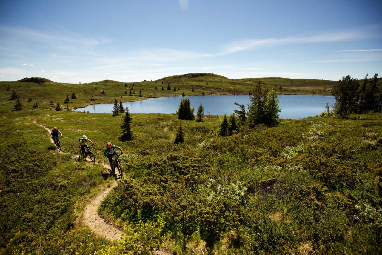 Ove Grøndal, Frank Jonny Brenno og Morten Nilsen tar fatt på klatringen opp mot Dyna. De samme flotte svingene sykles på vei ned igjen. / Stisykling i Norge.