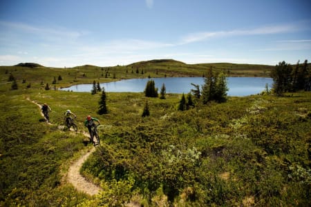 Ove Grøndal, Frank Jonny Brenno og Morten Nilsen tar fatt på klatringen opp mot Dyna. De samme flotte svingene sykles på vei ned igjen. / Stisykling i Norge.