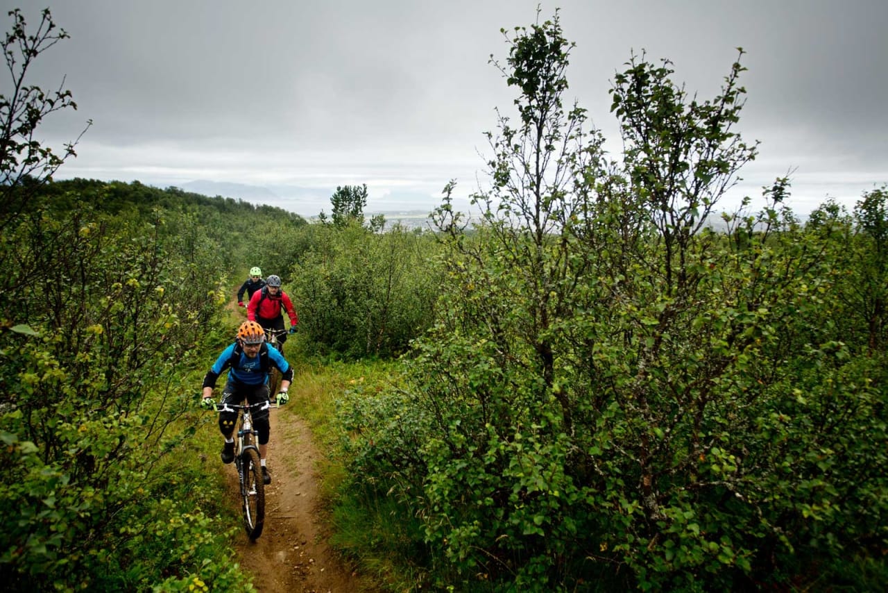 Andreas, Wiktor og Martin Klette på vei opp mot Dyrliryggen utenfor Bodø. / Stisykling i Norge.