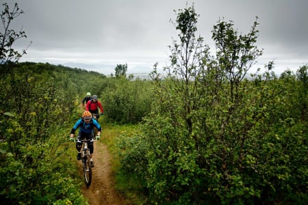 Andreas, Wiktor og Martin Klette på vei opp mot Dyrliryggen utenfor Bodø. / Stisykling i Norge.