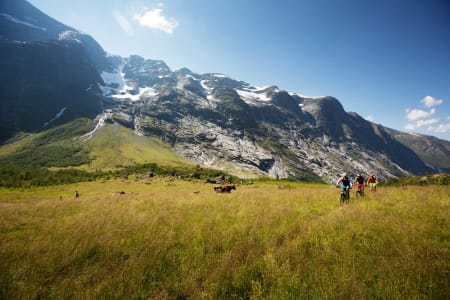 Øyvind Østvedt, Sigleif Myklebust og Halvard Avdem sykler gjennom postkort-landskapet i Erdalen. / Stisykling i Norge.