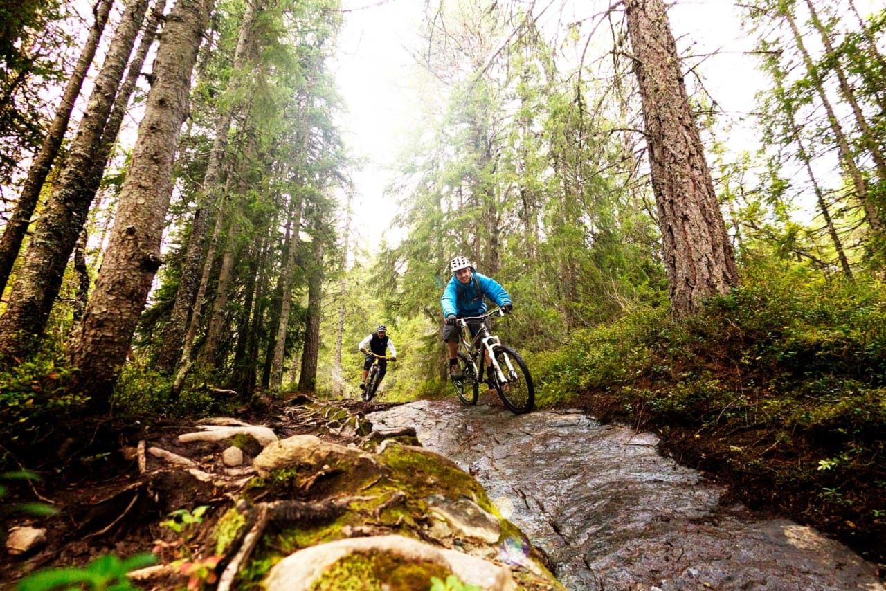 Geitfjellet er et av de mest populære turmålene i Bymarka. Petter Andreas Strøm og Arne Radmann setter dekkene på prøve. / Stisykling i Norge.