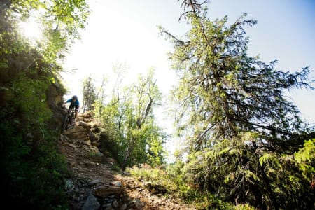 Gråkallskrenten er et mye omtalt crux i Bymarka, på baksiden av Gråkallen ned mot Vintervatnet. / Stisykling i Norge.