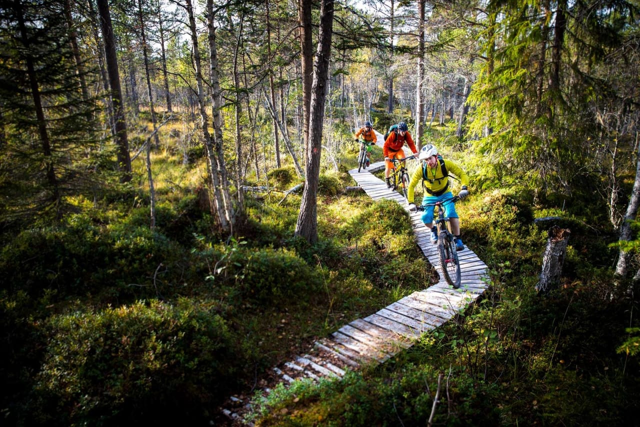 Kristian Brøndstad, Jens Petter Skårsmoen og Songre Børgeson Larsen på Hostostraden utenfor Oppdal. Foto: Terje Aamodt. / Stisykling i Norge.