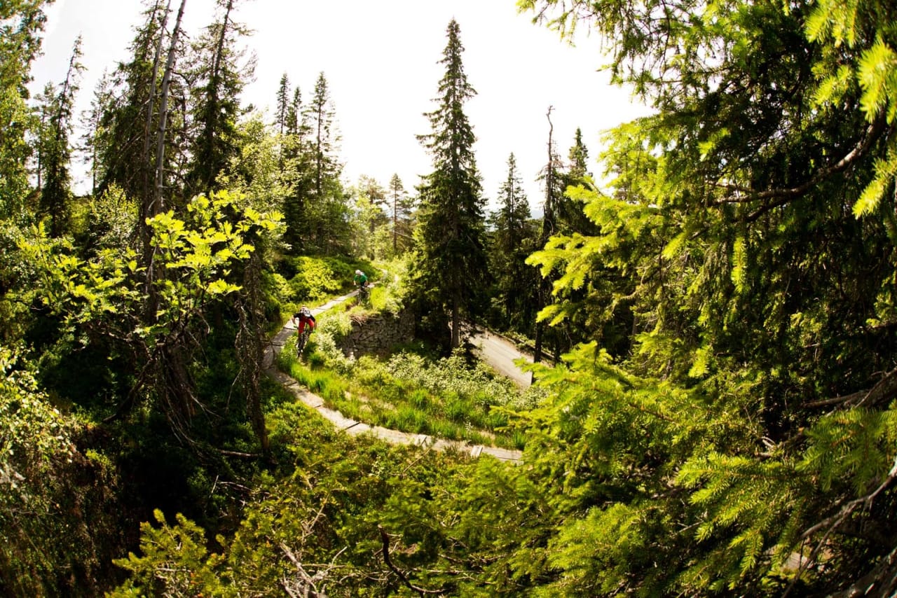 Flere av stiene i området over alpinanlegget går langs gamle vannføringskanaler fra gruvedriften. Sykle for all del ved siden av, ikke oppå disse gamle trekonstruksjonene! / Stisykling i Norge.