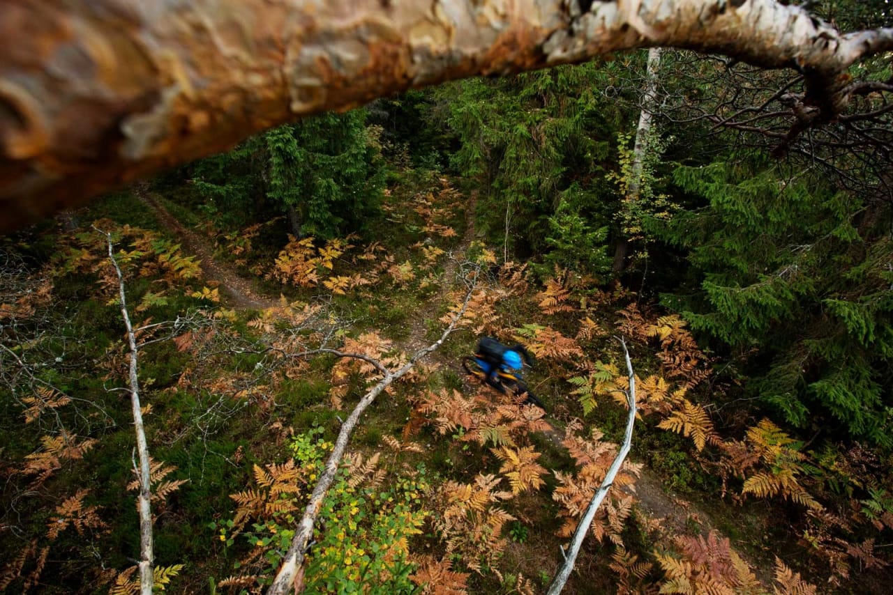 Stian Rånes søker fart på raske flytstier på Konnerudåsen. / Stisykling i Norge.