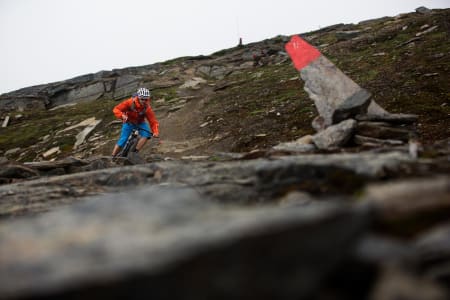 Stien fra Låktåjåkka fjellstasjon ned mot E10 er lang, sammenhengende og sinnssyk morsom. / Stisykling i Norge