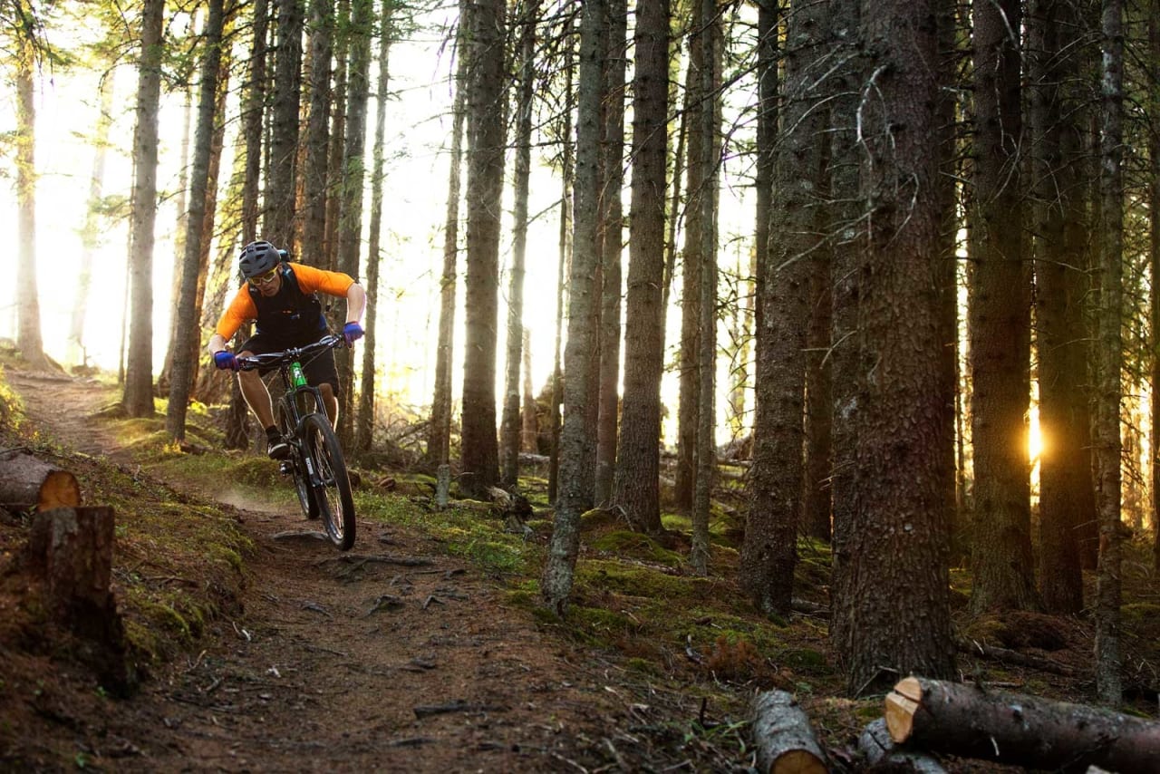 Uforkjøringen fra Langdalskollen ned til Geita er en av Arne Radmanns favorittstie, med god grunn. / Stisykling i Norge.