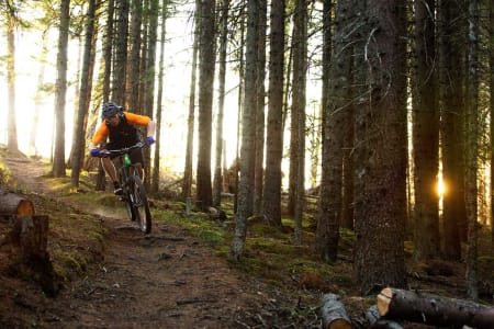 Uforkjøringen fra Langdalskollen ned til Geita er en av Arne Radmanns favorittstie, med god grunn. / Stisykling i Norge.