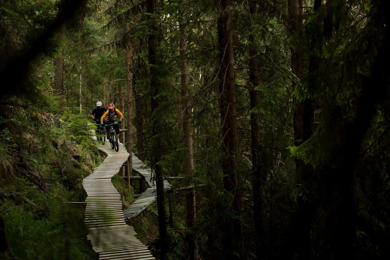 I Nesbyen får du testet høydeskrekken på håndbygde tre-elementer. Ove Grøndal og Frank Jonny Brenno løfter blikket. / Stisykling i Norge.
