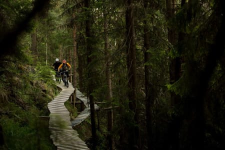 I Nesbyen får du testet høydeskrekken på håndbygde tre-elementer. Ove Grøndal og Frank Jonny Brenno løfter blikket. / Stisykling i Norge.