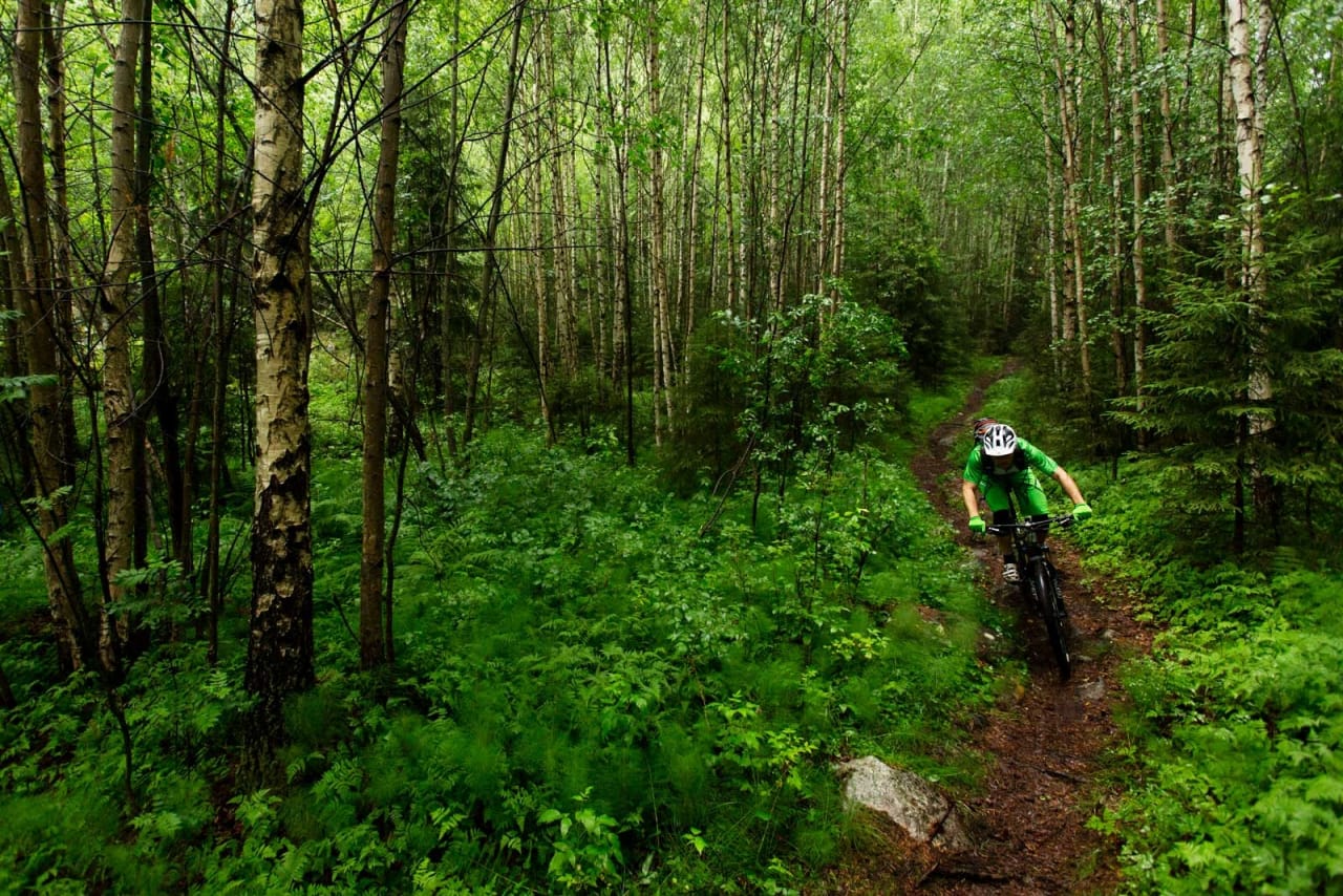 Skrotnissen er en fin runde å ta på kvelden. Høydemeterne slukes på grus oppover, og variert sti nedover. Sverre Eckhoff går i ett med landskapet. / Stisykling i Norge.