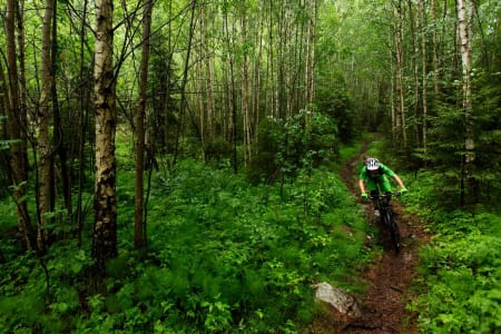 Skrotnissen er en fin runde å ta på kvelden. Høydemeterne slukes på grus oppover, og variert sti nedover. Sverre Eckhoff går i ett med landskapet. / Stisykling i Norge.