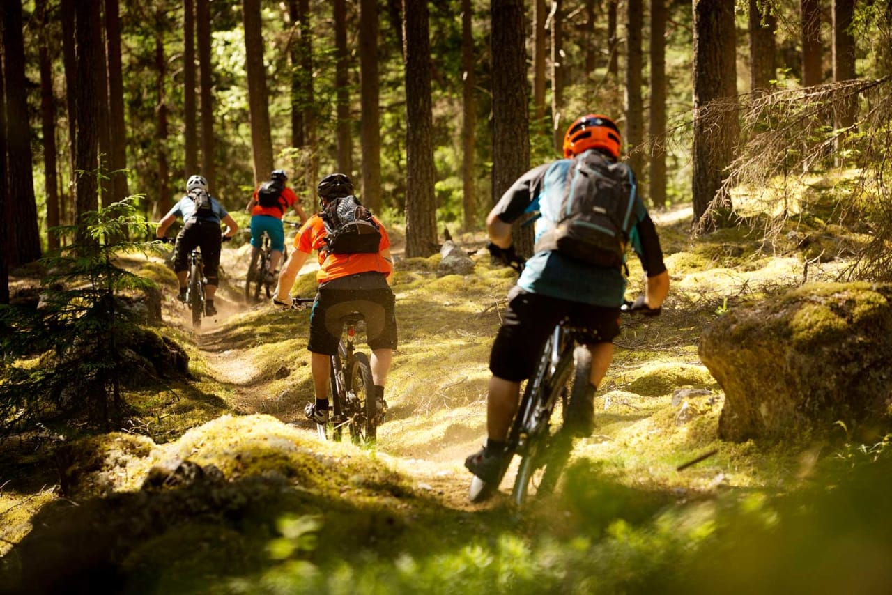 Det spesielle klimaet gjør at stiene i Nesbyen er støvtørre i store deler av sesongen. Flere av stiene gir en skikkelig berg-og-dalbanefølelse på raskt barskogunderlag. / Stisykling i Norge.