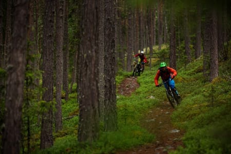 Stien fra Åsgardane ned til Gol sentrum har fått navnet Supergeil. Bjørn Jarle Kvande og Mathias Marley nyter den lange og morsomme utforkjøringen. / Stisykling i Norge.