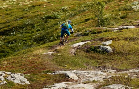 Arne Radmann slipper opp ned fra Svarthaugen mot dalbunnen. / Stisykling i Norge