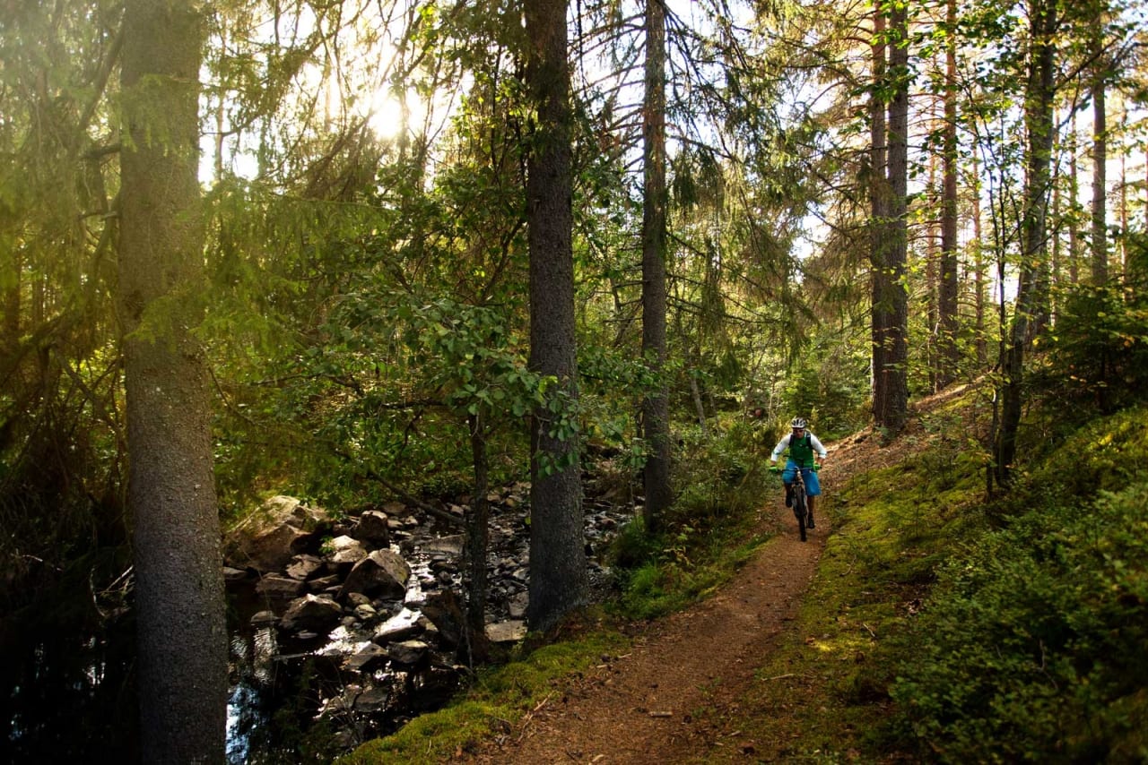 Langs elva Terningåa går fine og enkle flytstier. / Stisykling i Norge.