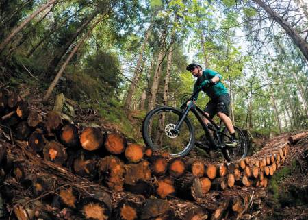 TILRETTELAGT: Størrelsen tatt i betraktning, er det et imponerende stinettverk på den lille øya Tåtøy som ligger klemt inne mellom Stabbestad og Kragerø sentrum.