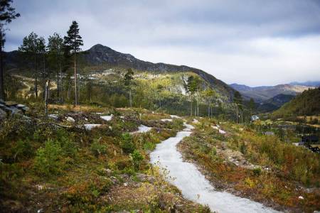 NY STI I HEMSEDAL: Tottelia Rides er et fint lite sti-senter hvor hele familien kan sykle. Foto: Kristoffer H. Kippernes
